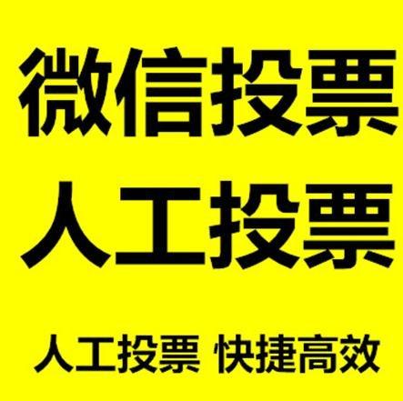 衡阳市投票活动拉票能被查出来吗？如何操作能不被发现？
